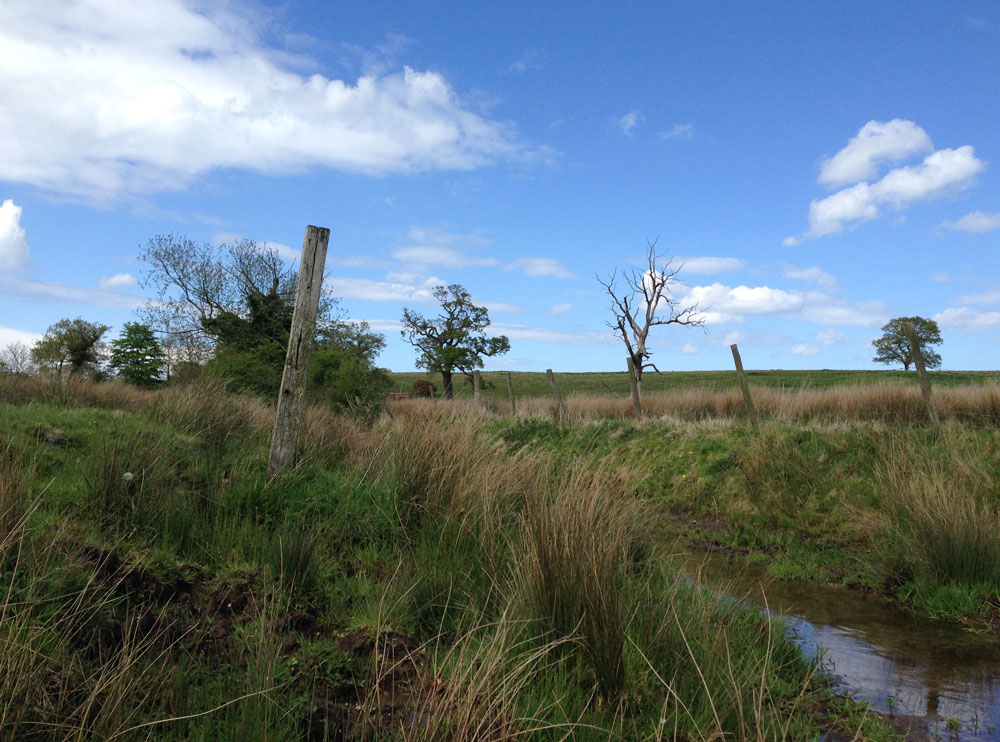 15_blog_felbrigg_02